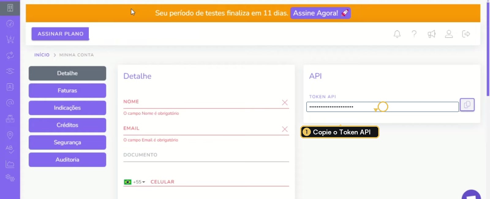 Token API exibido na página inicial da Guru
