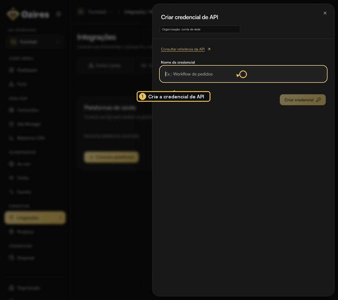 Janela Criar credencial de API no Ozires